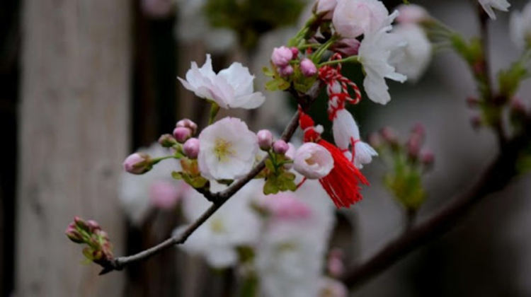 Затопляне днес, но все още облачно