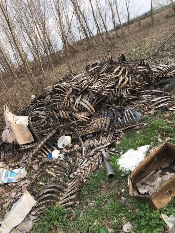 До 20 март трябва да бъдат почистени нерегламентираните сметища в Пъвомайско