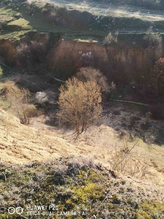 Намериха изгубени деца, разследват безхаберие на родител