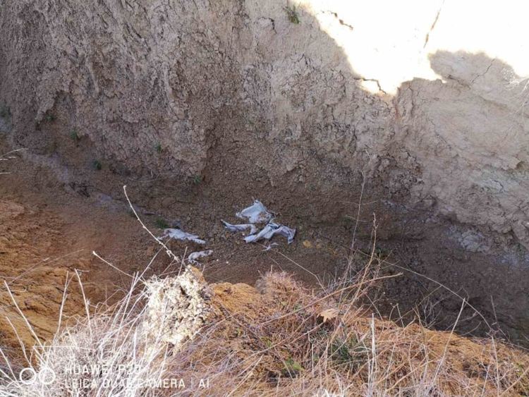 Намериха изгубени деца, разследват безхаберие на родител