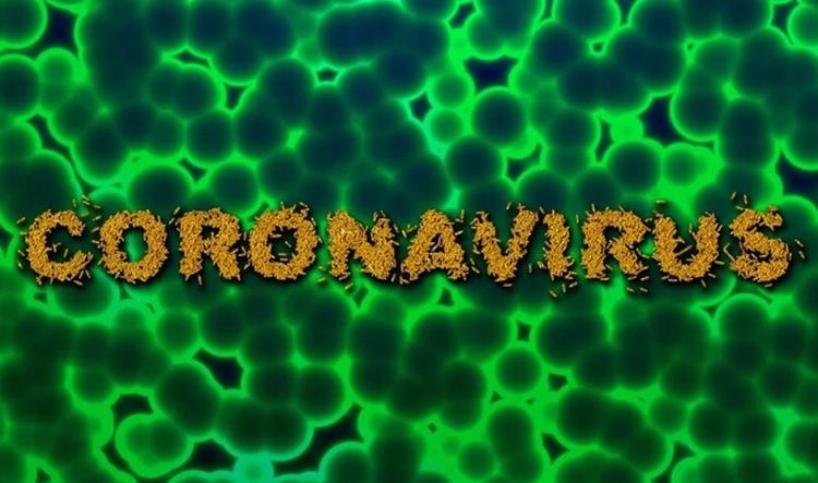 23 са вече случаите на COVID-19 у нас