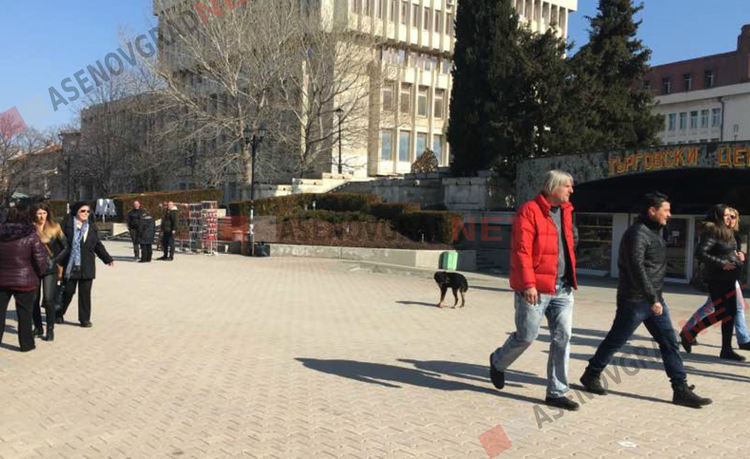 Улични кучета, неработещо осветление и улични дупки тормозят асеновградчани