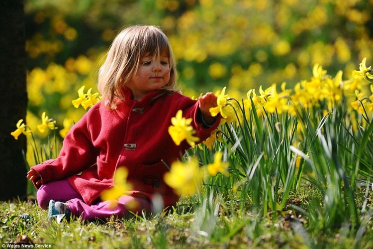 Слънчево и топло в петък, живакът стига 21 градуса