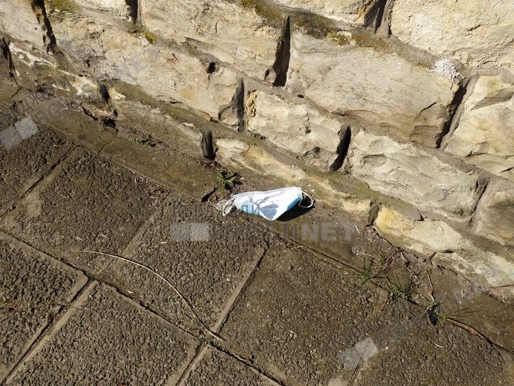 Здравна култура