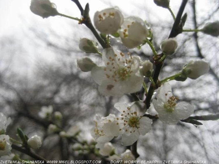 Днес остава топло, захлаждане от неделя