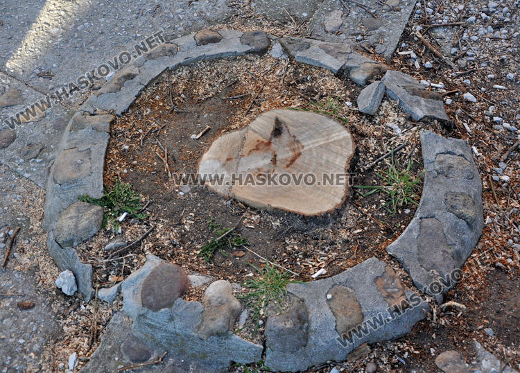 Премахната бетонна топка ядоса орфейци. Осигурявали достъп към пекарна