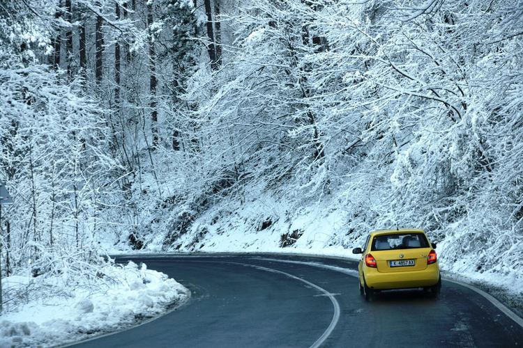 В Ардинско заваля сняг в средата на март