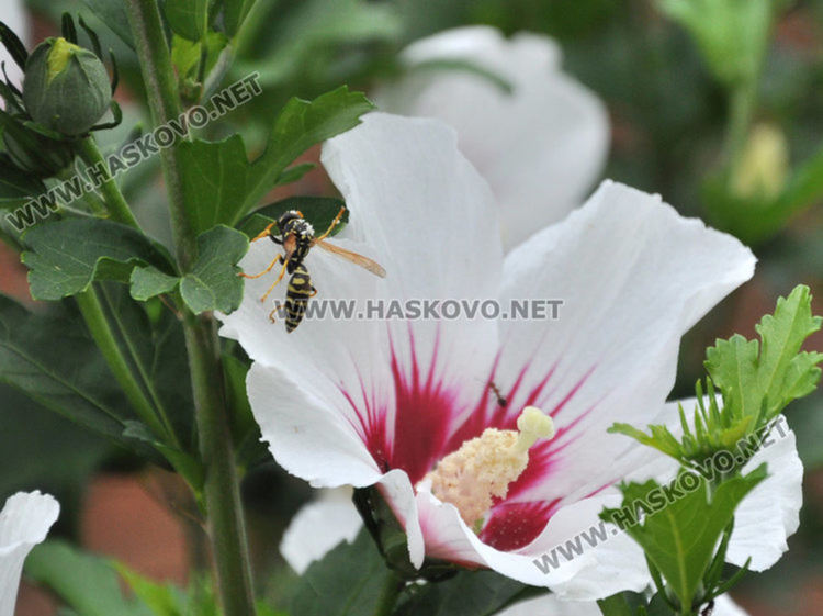 Слънчево начало на седмицата