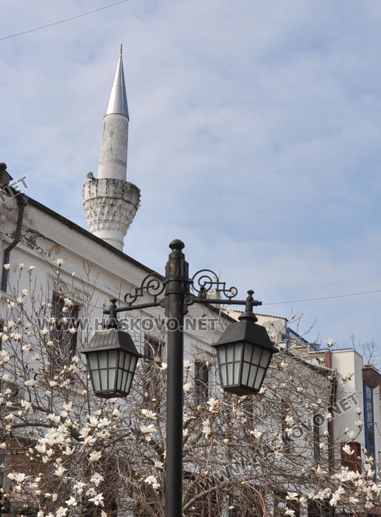 Джамиите в Хасково затвориха заради коронавируса, намазите вкъщи