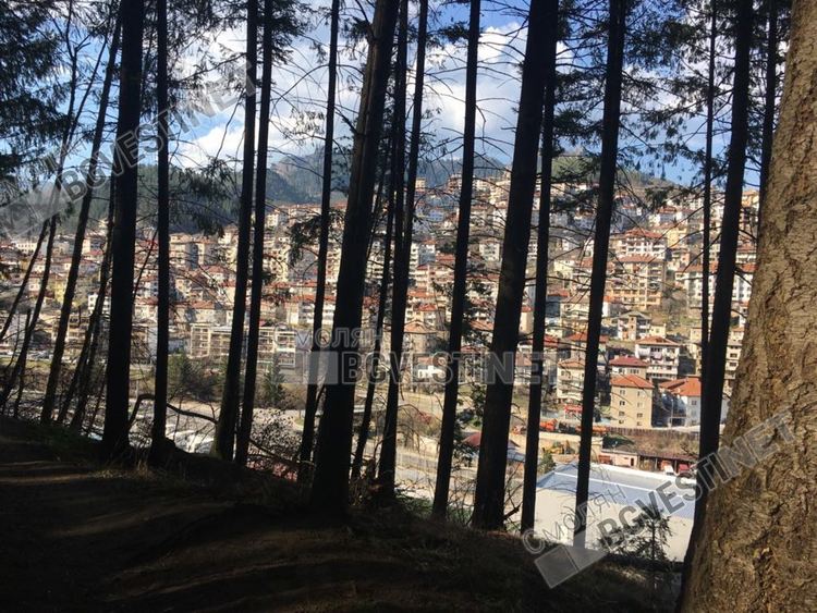 Двойка смолянчани се разхожда в парка, въпреки карантината след прибиране от Англия