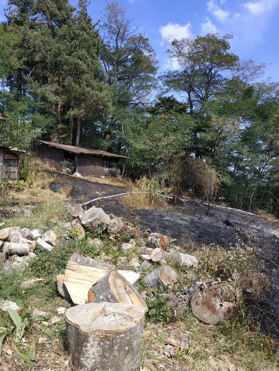 снимката е илюстративна, източник архив