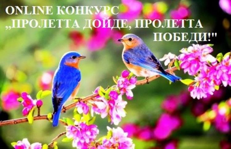 Online-конкурс на тема "Пролетта дойде, пролетта победи!" организират в Димитровград