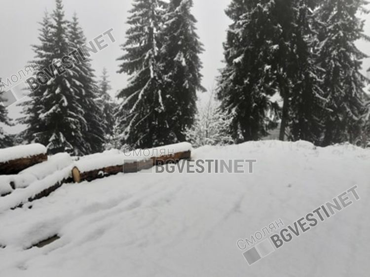 Нова снежна покривка в последния ден на март, за 1 април е обявен оранжев код за опасно време