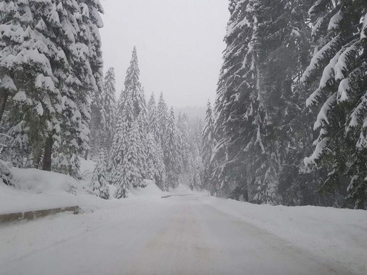 Обилен сняг и дъжд в Смолянско, забраниха движението на товарни автомобили през проходите