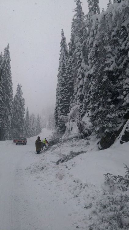 Лошото  време създаде проблеми в Смолянска област, усложнена е пътната обстановка, има населени места без ток
