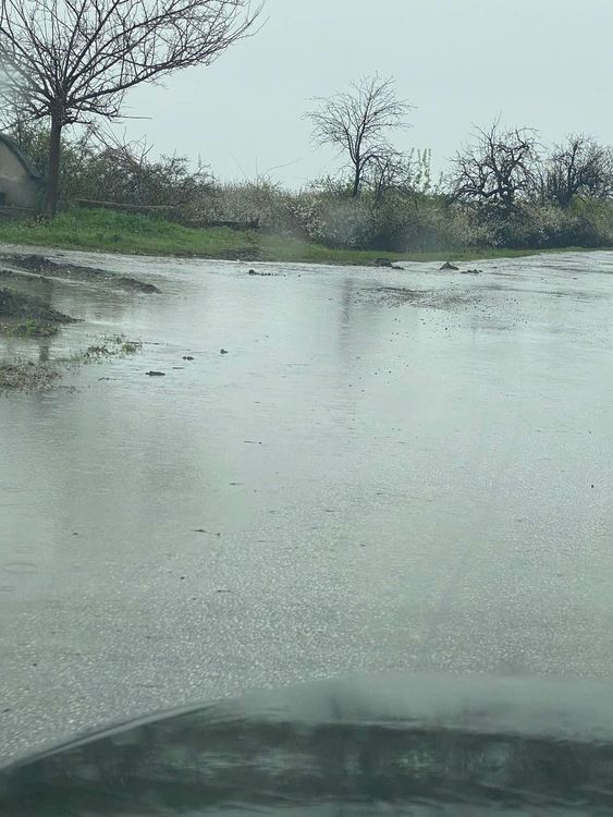 Пътят за Драгойново