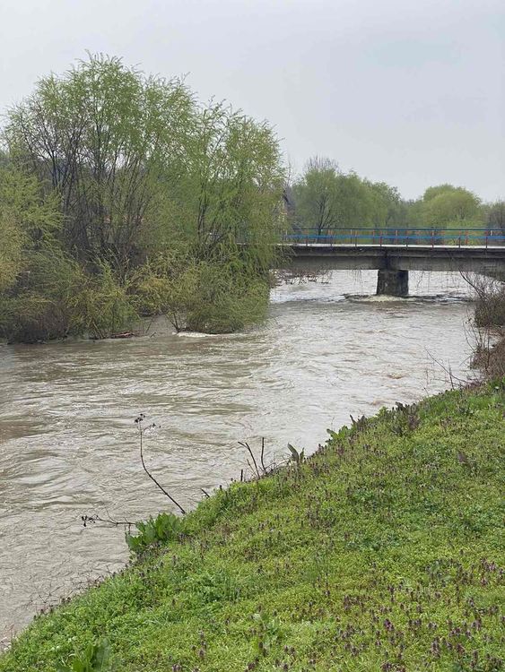 Драгойново