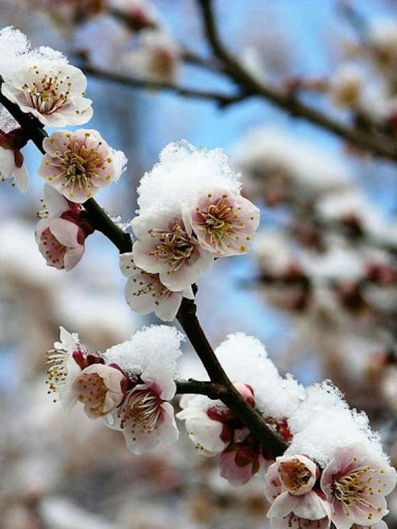 Облачно и ветровито днес
