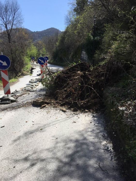 Нови свлачища на пътя Асеновград – Лясково