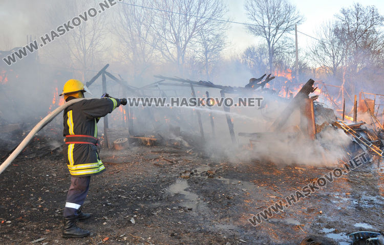 Пожар унищожи обор и плевня край Хасково, спасени са 35 крави и телета