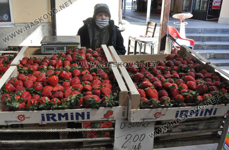 Хасковлии се втурнаха да купуват разсад, чесънът стигна 20 лева