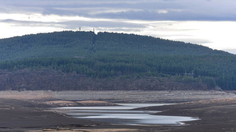 Природозащитници: сливането на екоинспекциите за София и Перник ще влоши управлението