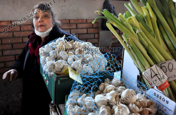 Хасковлии се втурнаха да купуват разсад, чесънът стигна 20 лева
