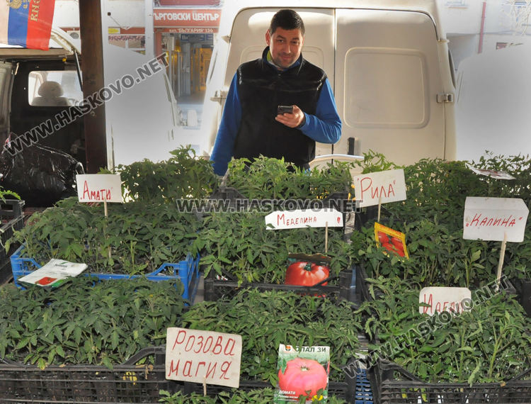 Хасковлии се втурнаха да купуват разсад, чесънът стигна 20 лева