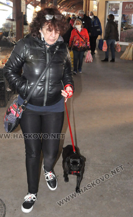 Хасковлии се втурнаха да купуват разсад, чесънът стигна 20 лева