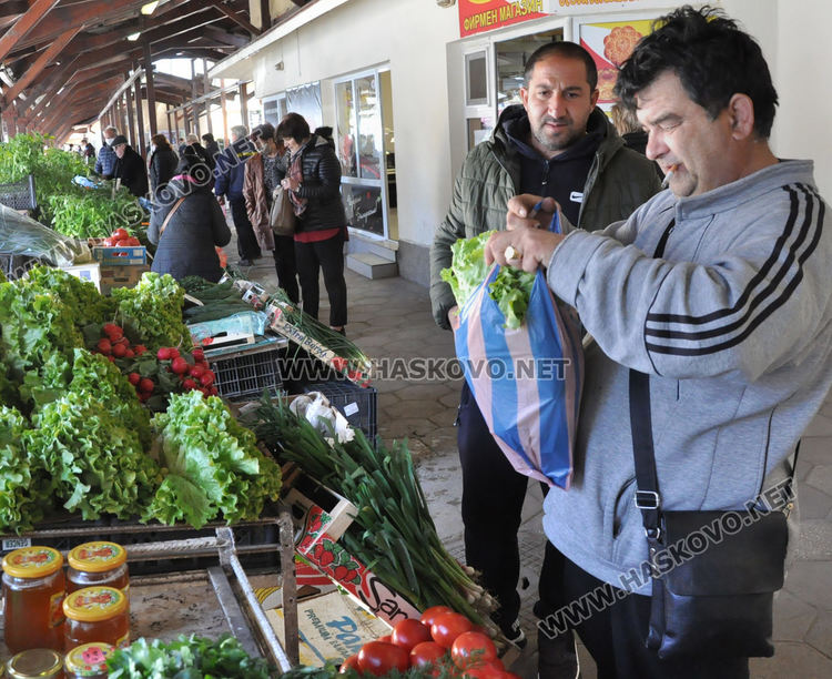 Хасковлии се втурнаха да купуват разсад, чесънът стигна 20 лева