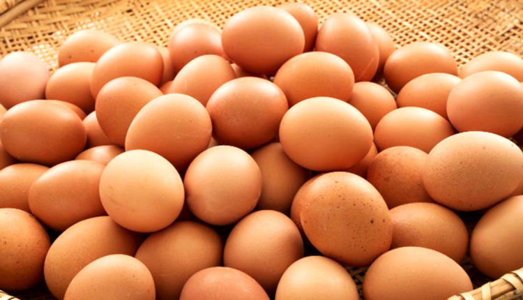 Смолянската болница получи дарение от 14 хиляди яйца