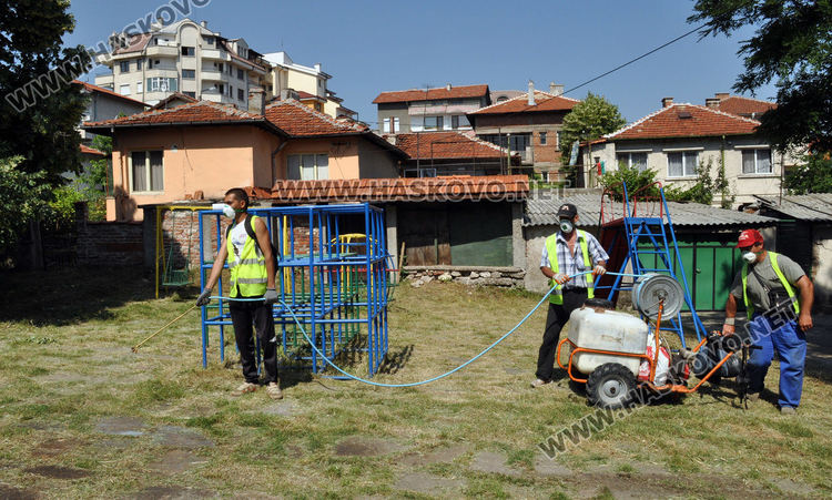 В Хасково започва пръскане срещу кърлежи, комари и бълхи