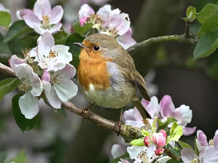 Слънчев и топъл четвъртък