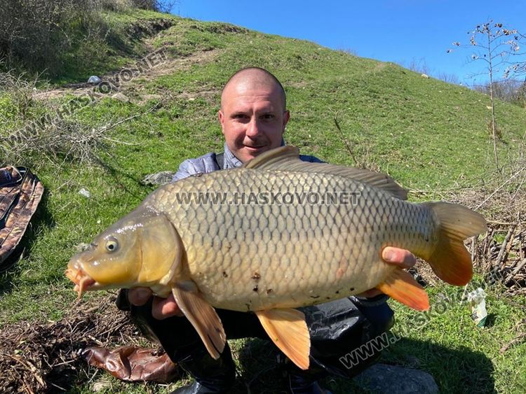 Майстори рибари измъкнаха над 30 шарана от язовир "Ивайловград"