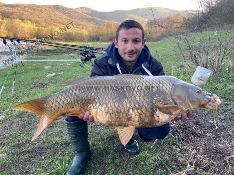 Делчо Кутелов