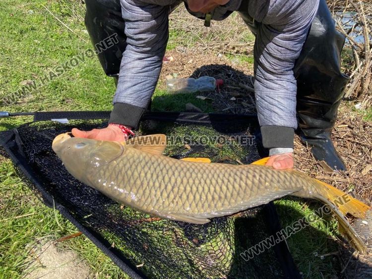Майстори рибари измъкнаха над 30 шарана от язовир "Ивайловград"