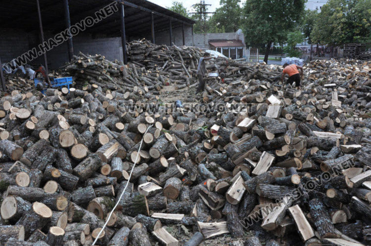Община Димитровград проучва жителите, отопляващи се с твърдо гориво