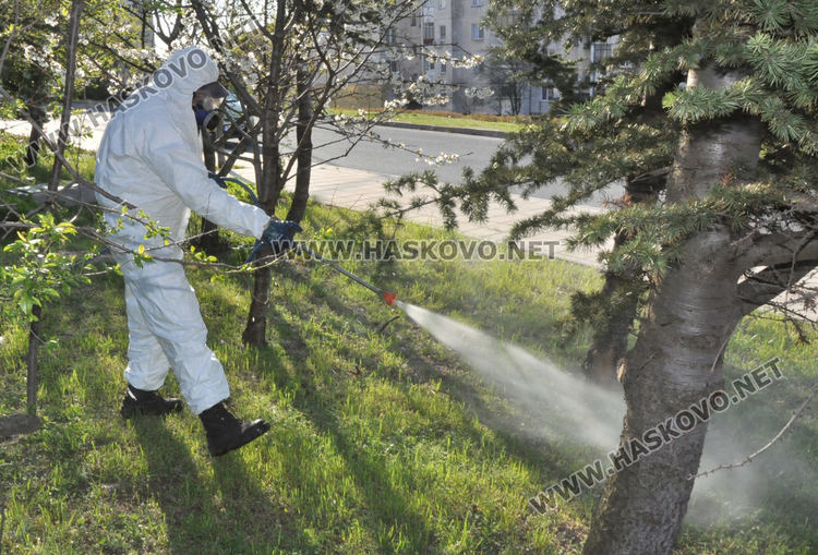 Пръскането срещу кърлежи и комари започна от "Бадема", продължава в "Болярово"