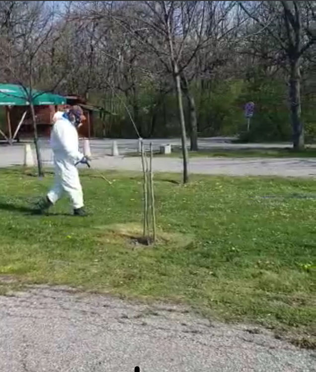 Два дни карантина на Кенана след пръскането за кърлежи