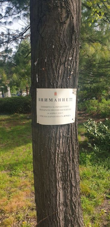 Пръскането срещу кърлежи продължава в центъра и "Орфей"