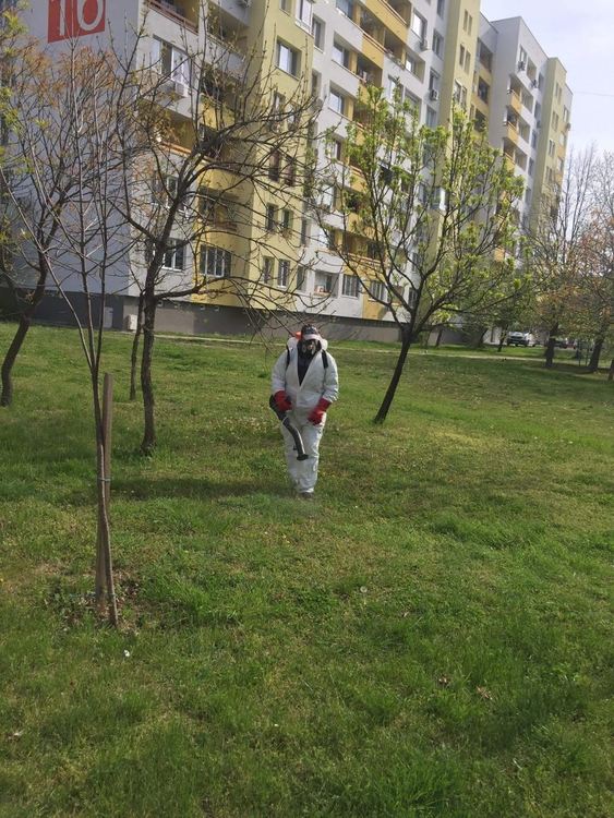 Пръскането срещу кърлежи продължава в центъра и "Орфей"