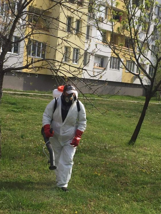 Снимки: Община Хасково