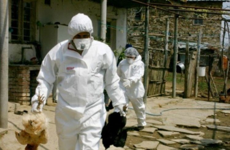 Ветеринари от Кърджалийско искат още оставки в Земеделското министерство