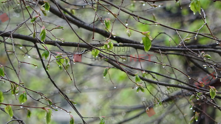 снимка: Евга