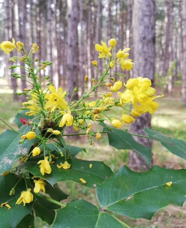 Слънчево в четвъртък