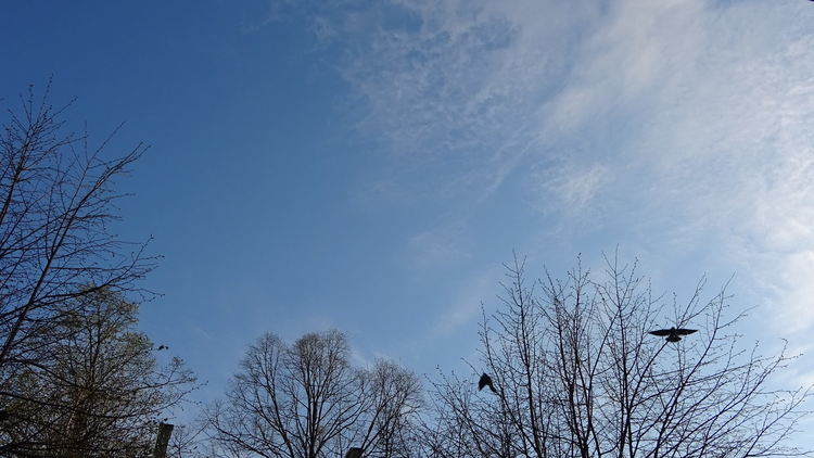 снимка: Евга