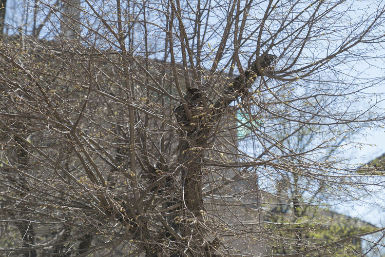 снимка: Евга