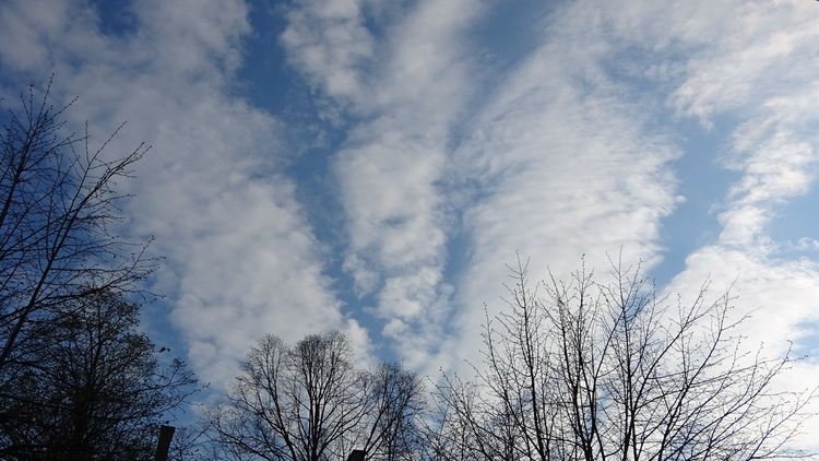 снимка: Евга