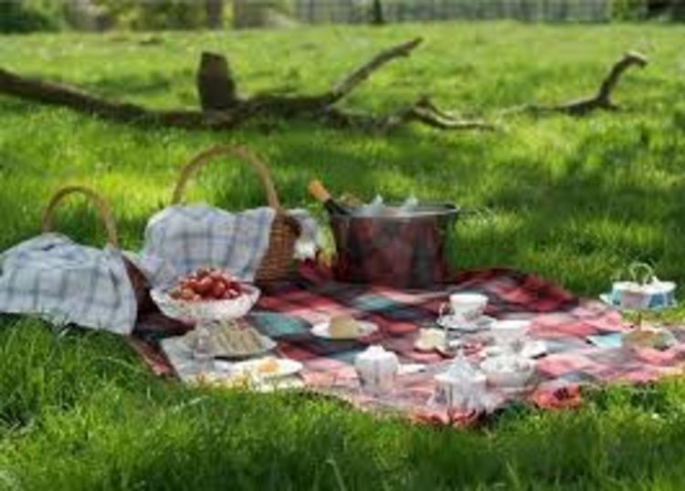 Екопътеките и баирите край Девин се напълниха с хора. Зам.кметът Чаушева изригна: "безотговорността може да стане причина за нечие страдание и смърт"