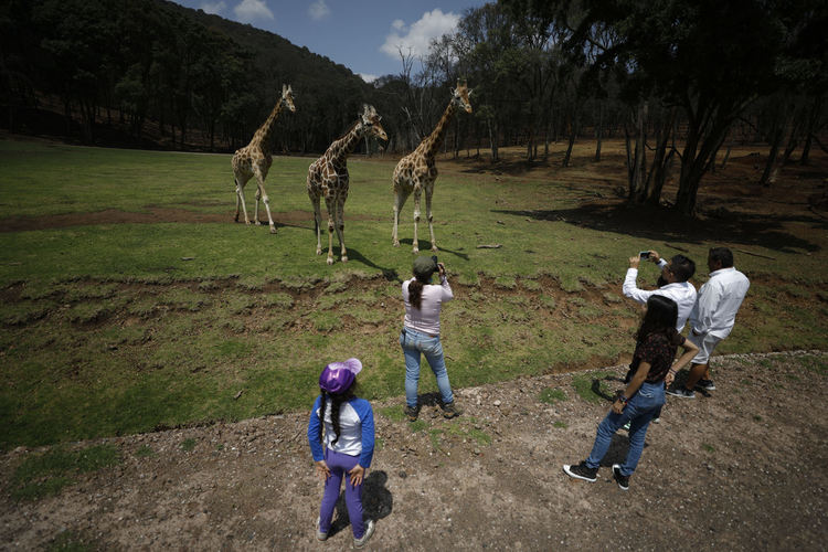Човешките лица на пандемията (снимки)
